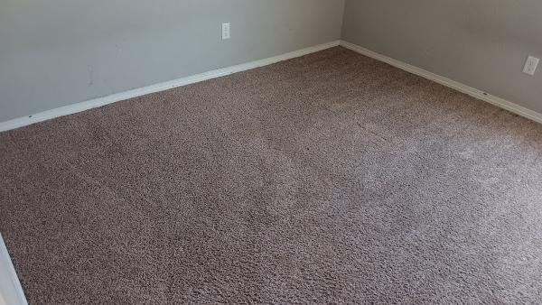 Mike's Carpet Cleaning