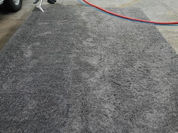 Allen's Carpet Cleaning