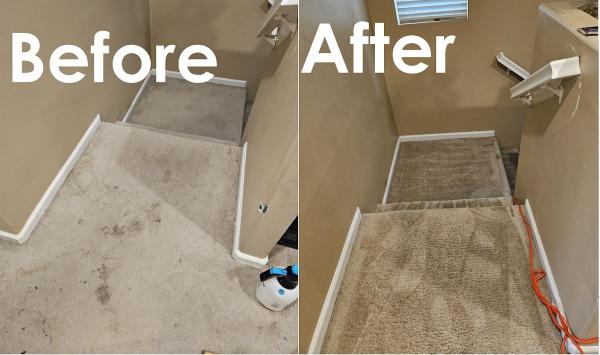 Foursevens Professionally Cleaned Carpet Cleaning
