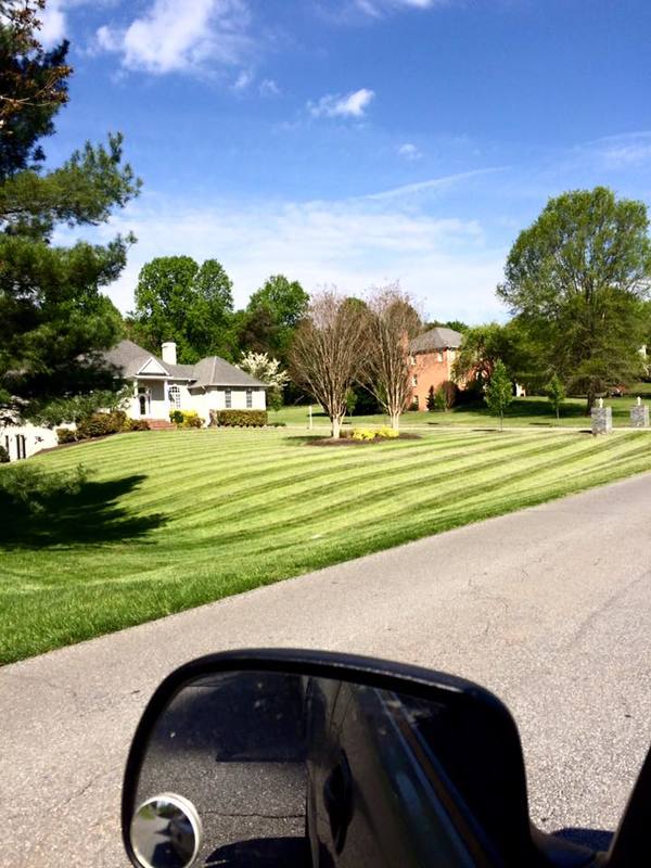 Shull Lawn Care