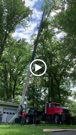 Centurion Tree Experts Inc