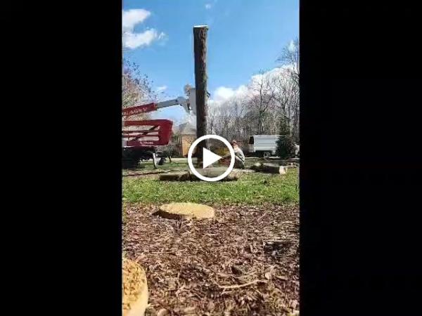 Southern Exposure Tree Service