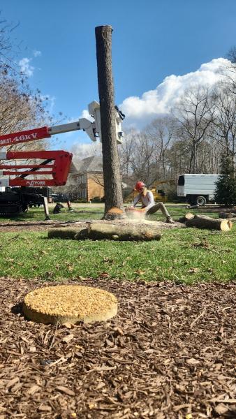 Southern Exposure Tree Service