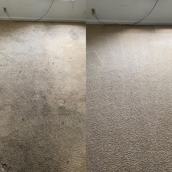 Direct Action Carpet Cleaning