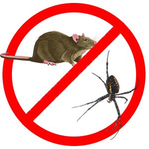 Vader Pest Control Wareham