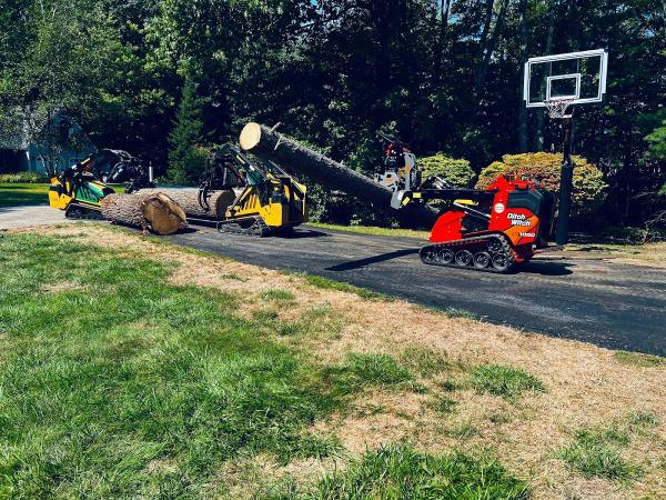 Trees & Driveways Llc.