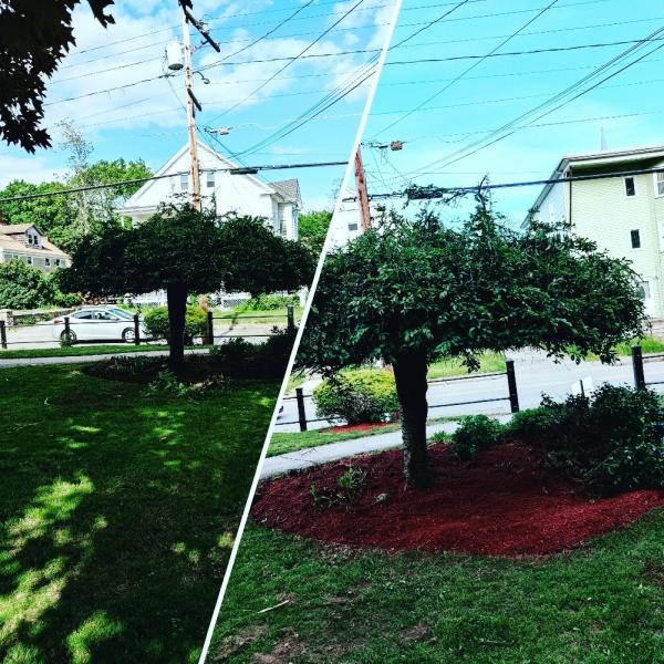 J&J Lawn Care
