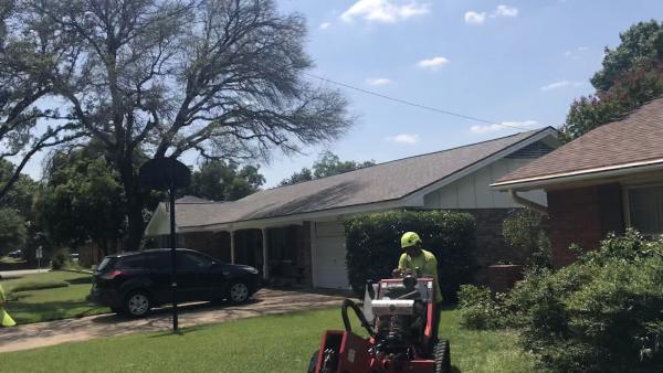 Tree Service Fort Worth