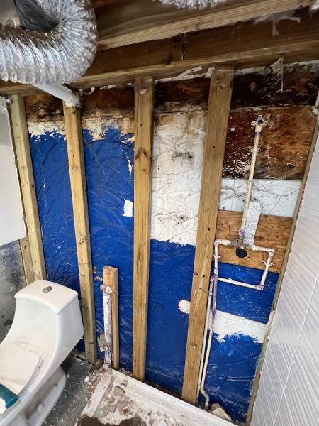 Restoration Maintenance