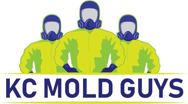 KC Mold Guys