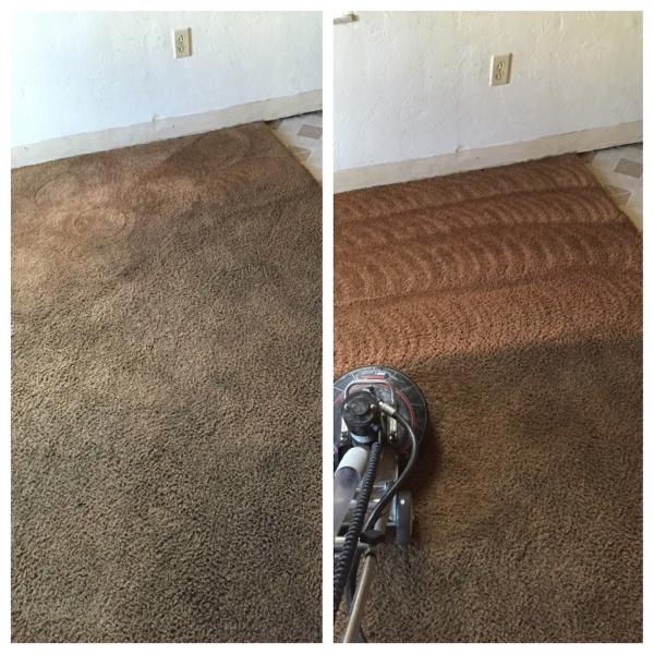 Guaranteed Clean Carpet Cleaning