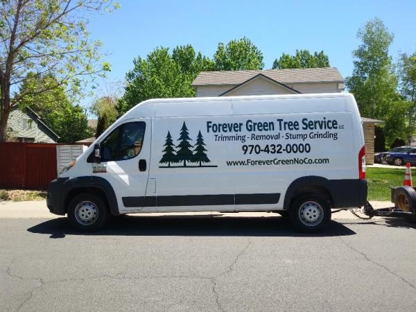 Forever Green Tree Service