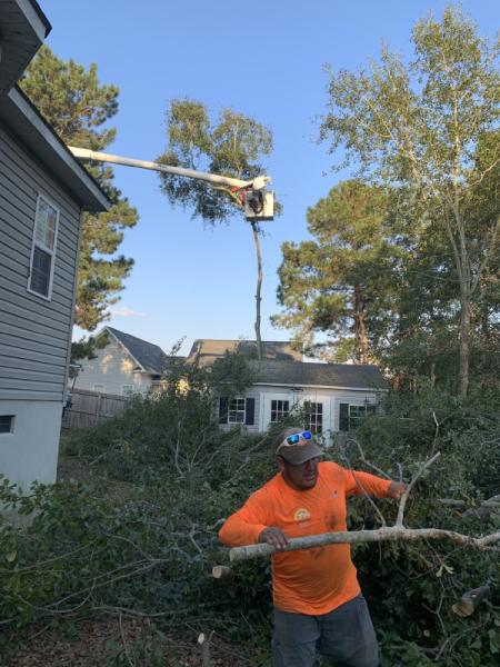 Silver Palm Landscaping LLC