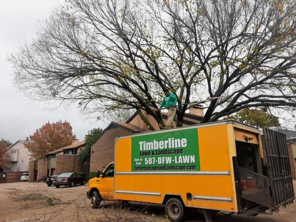 Timberline Lawn & Landscape