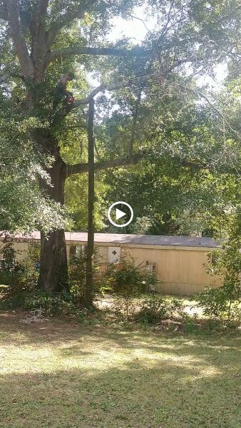 ATS Tree Service