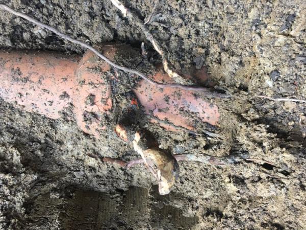 DRC Plumbing and Sewer