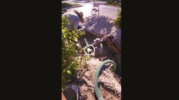 Gator Drain and Plumbing