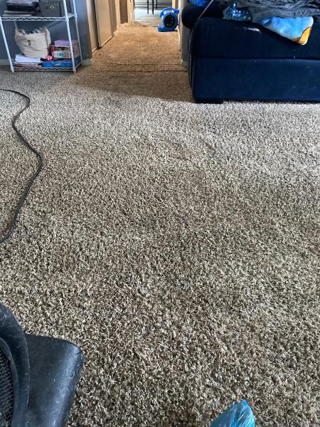 Floor Cleaner Fred