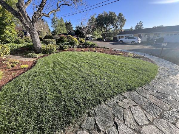 Lawrence Bennett Landscape Design and Construction
