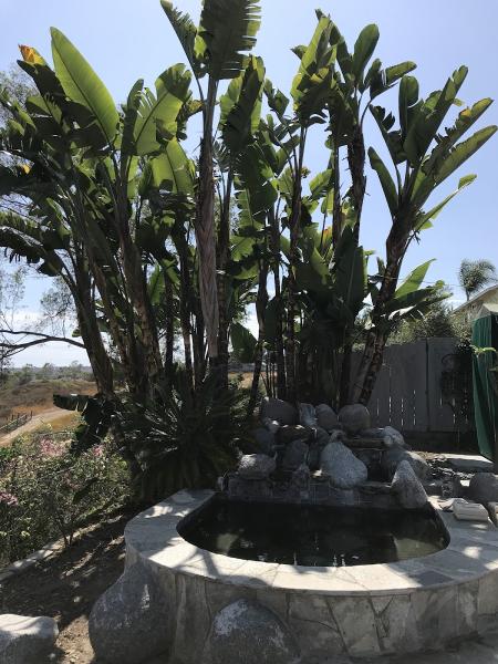 Top Notch Tree Care