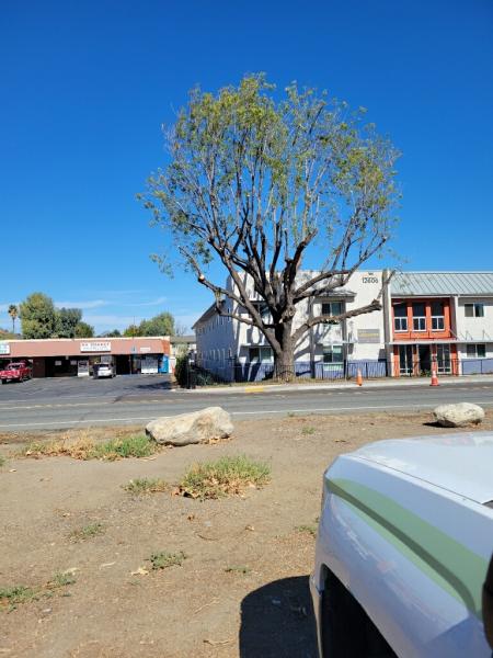 Arbor Task Tree Service San Diego