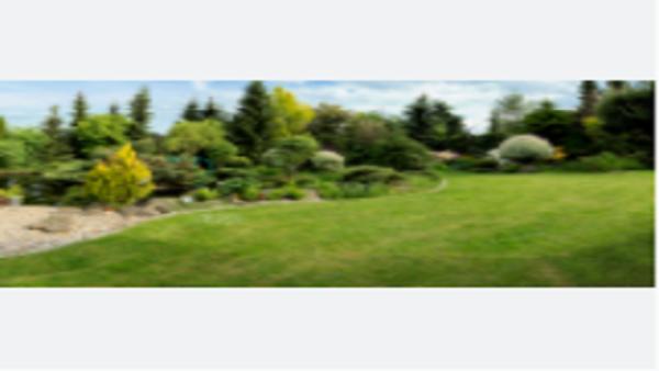 Unique Backyards