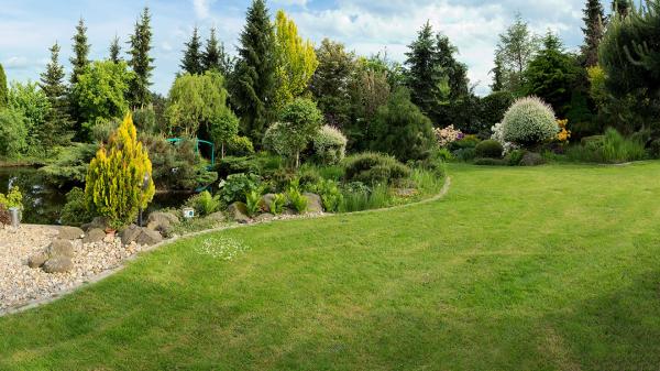 Unique Backyards