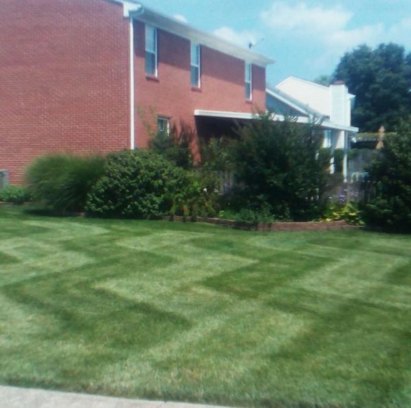 ZZZ Lawn Care Company LLC