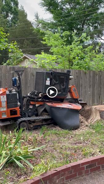 Real Tree Pros