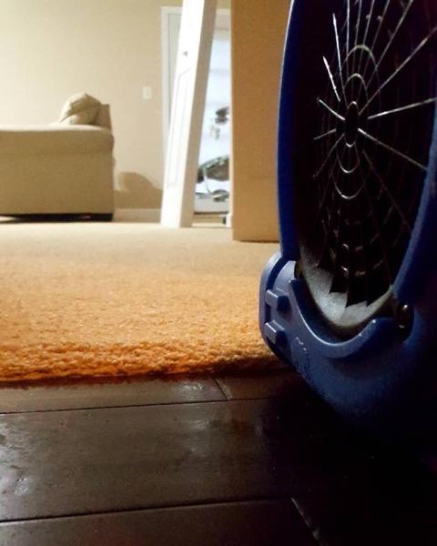 American Steam Pros Carpet Cleaning