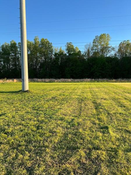 Odyssey Lawn Care LLC