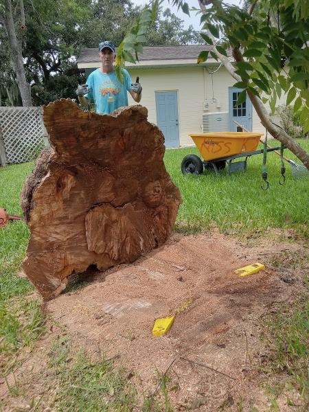 Timber Dawgz Tree Service L.l.c