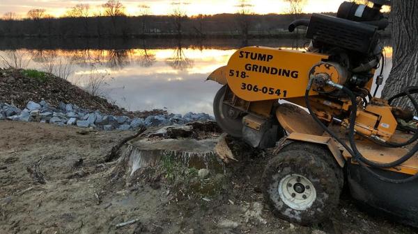 Stumps By Steve