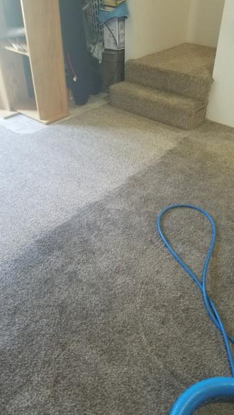 Rogue Carpet & Cleaning Service