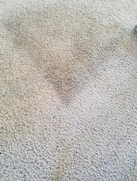 Rogue Carpet & Cleaning Service
