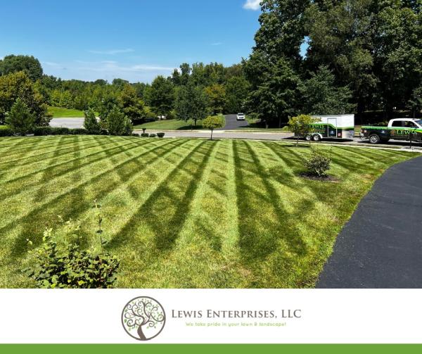 Lewis Enterprises LLC