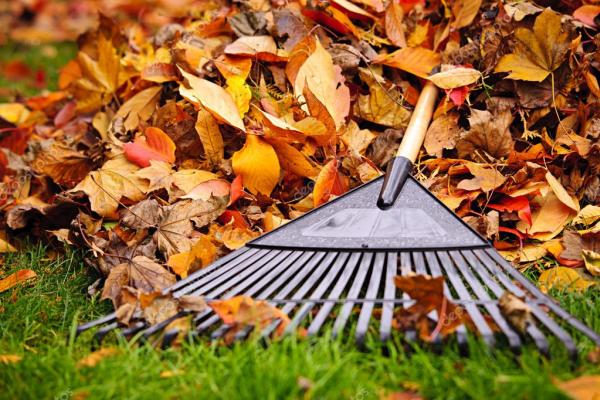 CLA Lawncare