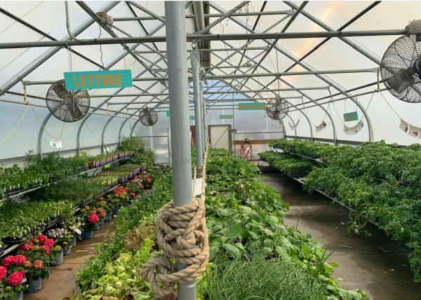 Superior Lawn & Garden Center