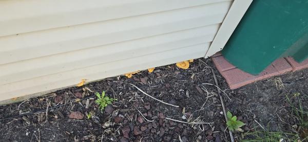 Chem-Wise Pest Control