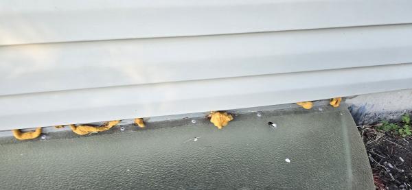 Chem-Wise Pest Control