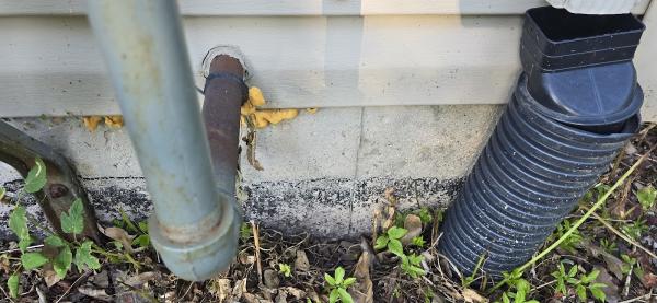 Chem-Wise Pest Control