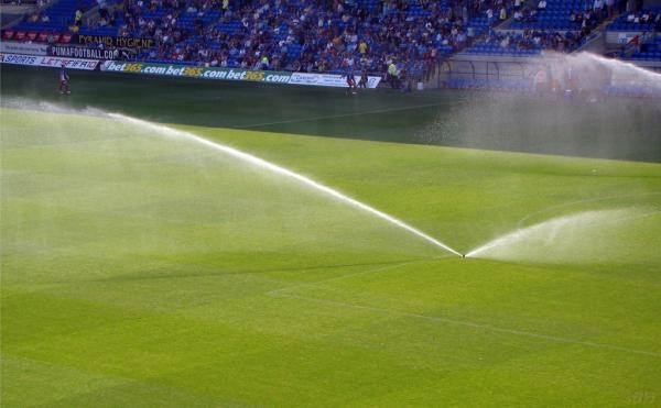 Mile-Hi Sprinkler