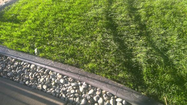 Xander Landscaping