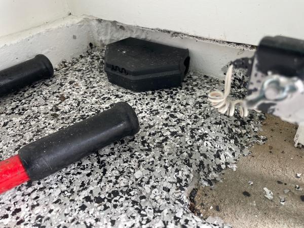 Larrain Pest Management
