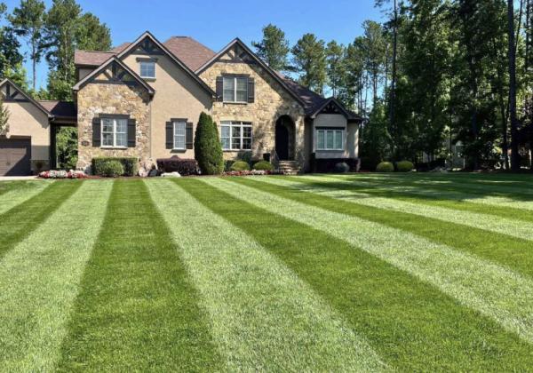 Leon Landscaping