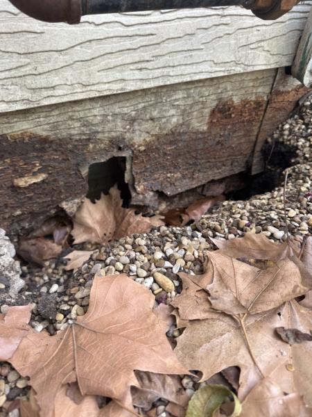 Alpha Foundation Repair LLC