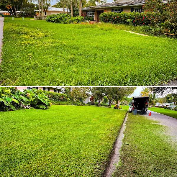 Green Thumbs Lawn Services