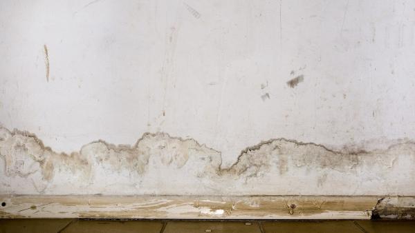 Roof Leak Restoration Experts