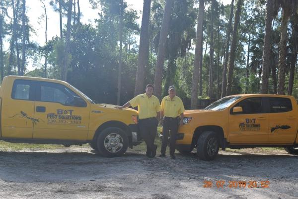 B & T Pest Solutions