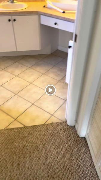 Steam Medic Carpet and Tile Cleaning